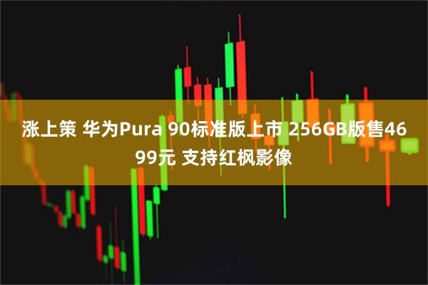 涨上策 华为Pura 90标准版上市 256GB版售4699元 支持红枫影像