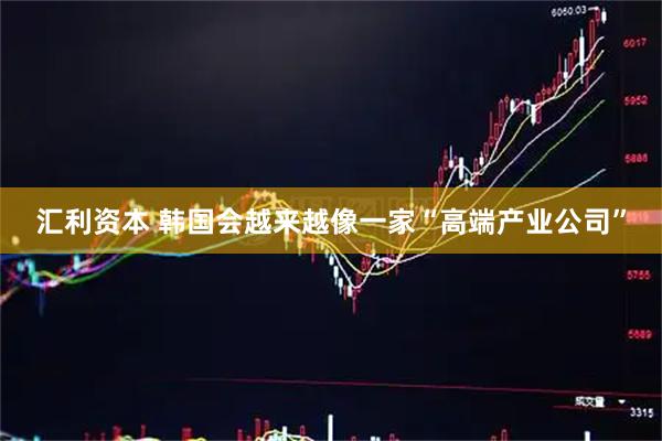 汇利资本 韩国会越来越像一家“高端产业公司”